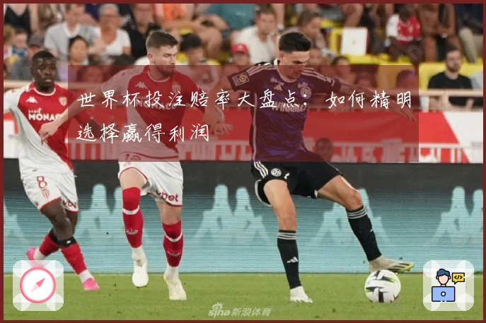 世界杯投注赔率大盘点：如何精明选择赢得利润