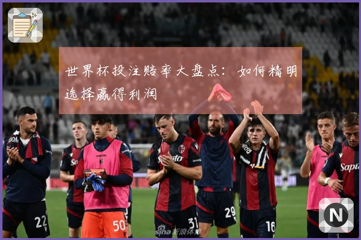 世界杯投注赔率大盘点：如何精明选择赢得利润