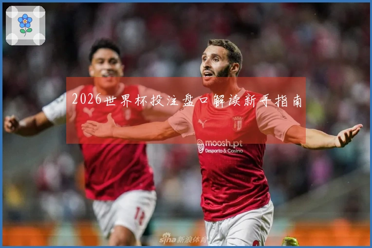 2026世界杯投注盘口解读新手指南