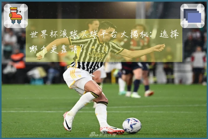 世界杯滚球买球平台大揭秘：选择哪个更靠谱？